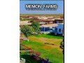 cattle-farm-small-0