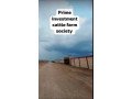 cattle-farm-goat-farm-dairy-farm-small-0