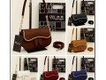 all-ladies-bags-available-small-0